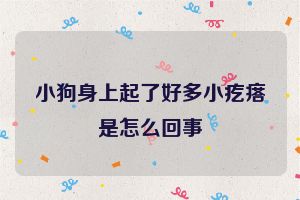 小狗身上起了好多小疙瘩是怎么回事