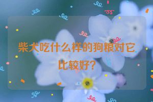 柴犬吃什么样的狗粮对它比较好？