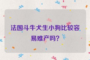 法国斗牛犬生小狗比较容易难产吗？