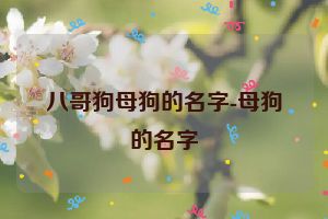 八哥狗母狗的名字-母狗的名字