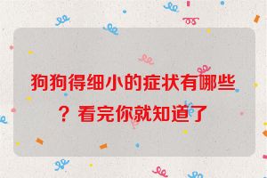 狗狗得细小的症状有哪些？看完你就知道了