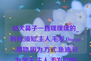 幼犬鼻子一直噗噗噗的_狗狗,须知,主人,毛发,Omega-,猎物,因为,方式,鱼油,行为,宠主,主人,毛发,猎物