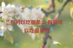 狗可以吃面条么 狗狗可以吃面条吗