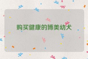 购买健康的博美幼犬