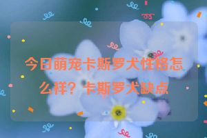 今日萌宠卡斯罗犬性格怎么样？卡斯罗犬缺点
