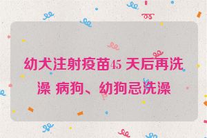 幼犬注射疫苗45 天后再洗澡 病狗、幼狗忌洗澡