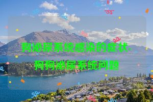 狗泌尿系统感染的症状-狗狗泌尿系统问题