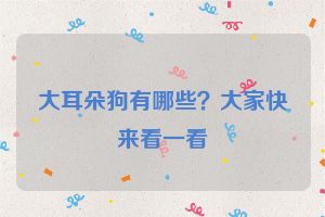 大耳朵狗有哪些？大家快来看一看