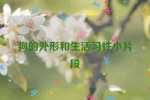 狗的外形和生活习性小片段