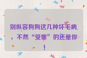 别纵容狗狗这几种坏毛病,不然“受罪”的还是你!