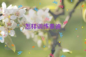 怎样训练泰迪