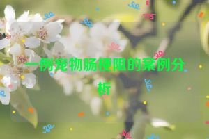 一例宠物肠梗阻的案例分析