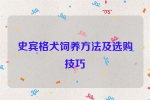 史宾格犬饲养方法及选购技巧