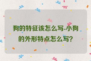 狗的特征该怎么写-小狗的外形特点怎么写？