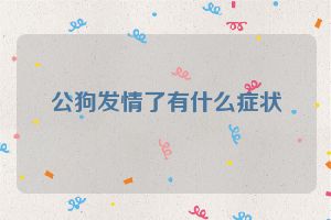 公狗发情了有什么症状