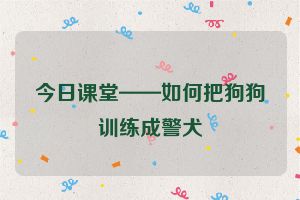 今日课堂——如何把狗狗训练成警犬