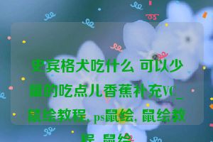 史宾格犬吃什么 可以少量的吃点儿香蕉补充VC_鼠绘教程, ps鼠绘, 鼠绘教程, 鼠绘