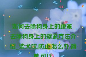 如何去除狗身上的跳蚤 去除狗身上的壁虱方法介绍_柴犬咬,防止,怎么办,简单,可以