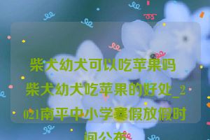 柴犬幼犬可以吃苹果吗 柴犬幼犬吃苹果的好处_2021南平中小学寒假放假时间公布