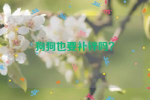 狗狗也要补锌吗？