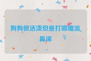 狗狗很活泼但是打喷嚏流鼻涕