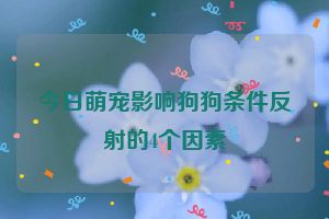 今日萌宠影响狗狗条件反射的4个因素