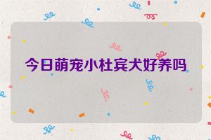 今日萌宠小杜宾犬好养吗