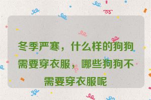冬季严寒，什么样的狗狗需要穿衣服，哪些狗狗不需要穿衣服呢