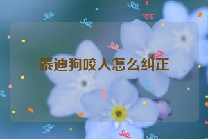 泰迪狗咬人怎么纠正