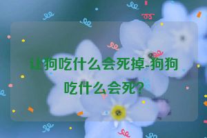 让狗吃什么会死掉-狗狗吃什么会死？