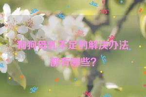 狗狗母乳不足的解决办法都有哪些？