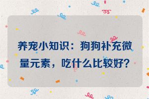 养宠小知识：狗狗补充微量元素，吃什么比较好？