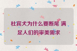 杜宾犬为什么要断尾 满足人们的审美需求