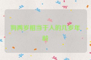 狗两岁相当于人的几岁年龄