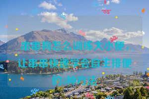 串串狗怎么训练大小便，让串串快速学会自主排便的3种方法