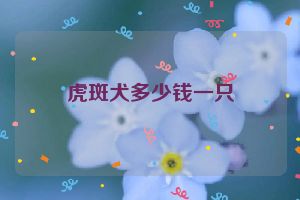 虎斑犬多少钱一只