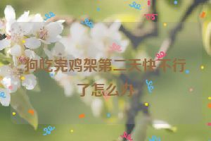 狗吃完鸡架第二天快不行了怎么办