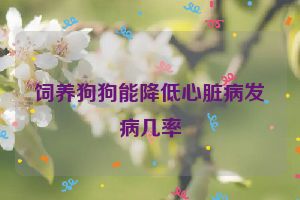 饲养狗狗能降低心脏病发病几率