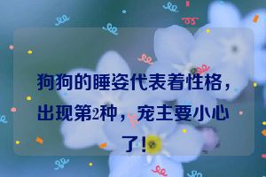 狗狗的睡姿代表着性格，出现第2种，宠主要小心了！
