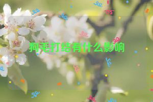 狗毛打结有什么影响