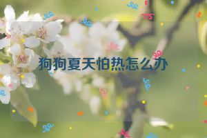 狗狗夏天怕热怎么办