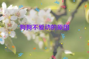 狗狗不爱动的原因