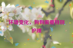 环境变化，狗狗需要特别护理