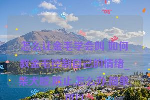 怎么让金毛学会叫 如何教金毛控制自己的情绪_柴犬咬,防止,怎么办,简单,可以