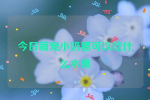 今日萌宠小奶猫可以吃什么水果