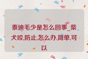 泰迪毛少是怎么回事_柴犬咬,防止,怎么办,简单,可以