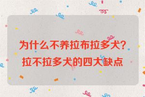 为什么不养拉布拉多犬？拉不拉多犬的四大缺点