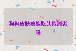 狗狗皮肤病能吃头孢消炎吗