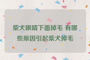 柴犬眼睛下面掉毛 有哪些原因引起柴犬掉毛