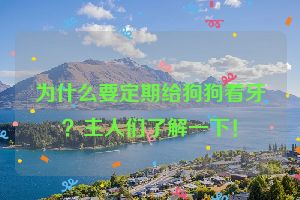 为什么要定期给狗狗看牙？主人们了解一下！